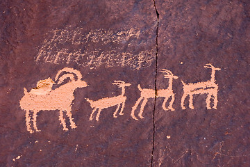 Image showing Ancient petroglyphs