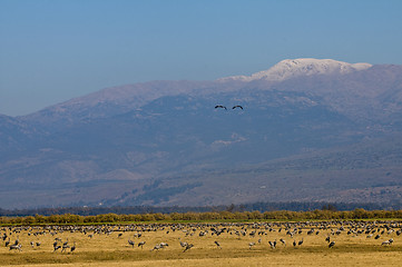 Image showing Mount Hermon