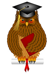 Image showing Wise Old Owl with Graduation Cap and Diploma Illustration