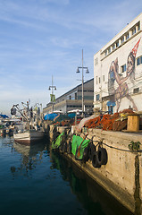 Image showing Jaffa port