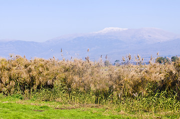 Image showing Mount Hermon