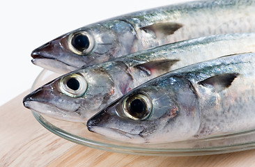 Image showing Fresh fishes