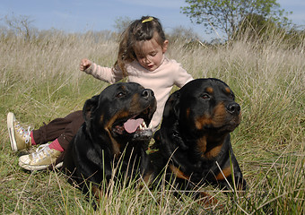 Image showing dangerous dogs and child