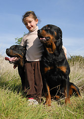 Image showing little girl and rottweilers