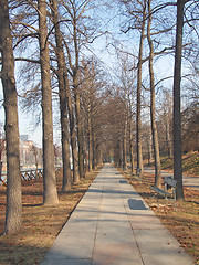 Image showing Path among trees
