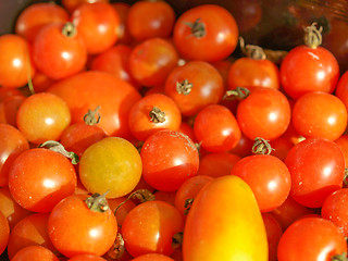 Image showing Tomatoes picture