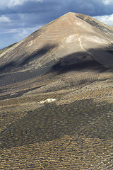 Image showing Zocos in Lanzarote