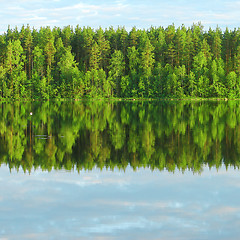 Image showing Reflection of forest in lake