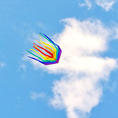 Image showing Rainbow kite              