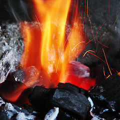 Image showing Burning coals