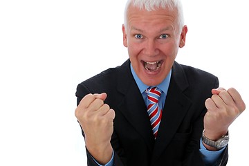 Image showing Businessman crazy with two fists