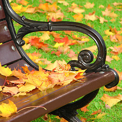 Image showing Park bench in autumn