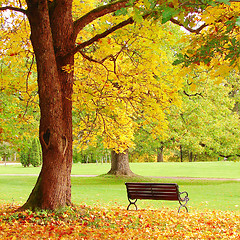 Image showing Fall city park