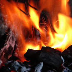 Image showing Burning coals