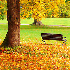 Image showing City park in autumn