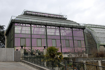 Image showing greenhouse of museum in Paris