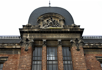 Image showing museum d'histoire naturelle de Paris