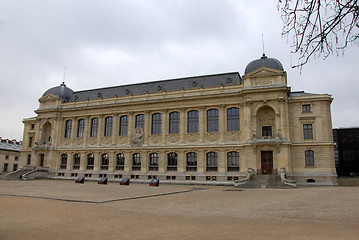Image showing museum d'histoire naturelle de Paris
