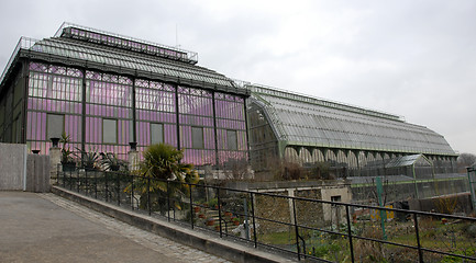 Image showing greenhouses of museum in Paris