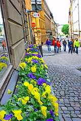 Image showing Along the streets of The Old Town (Gamla Stan) on June 11, 2009 