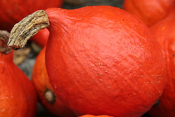 Image showing Orange pumpkin