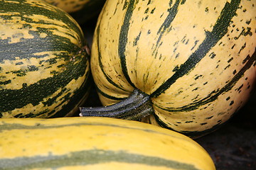 Image showing pumpkins