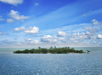 Image showing Small Island In The Ocean