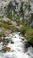 Image showing River Ljuta Montenegro