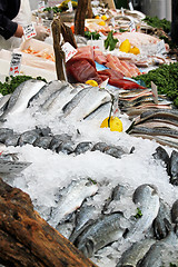 Image showing Fish market