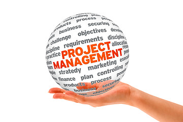 Image showing Project Management