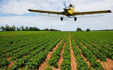 Image showing Crop dusting