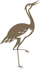 Image showing crane-heron-looking-forward