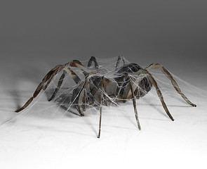 Image showing metallic spider