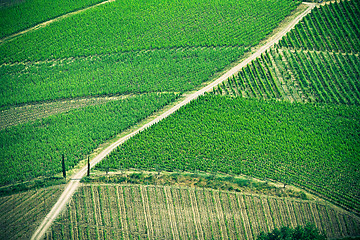 Image showing Typical Tuscan landscape