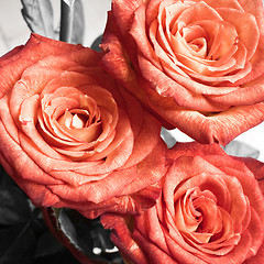 Image showing rose bouquet