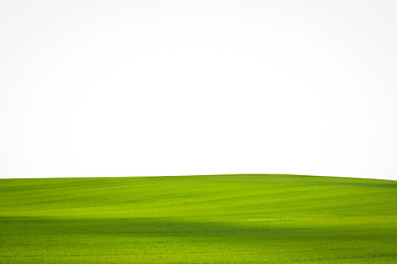 Image showing green field