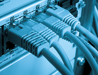 Image showing network cables