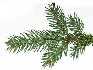 Image showing Christmas tree decoration