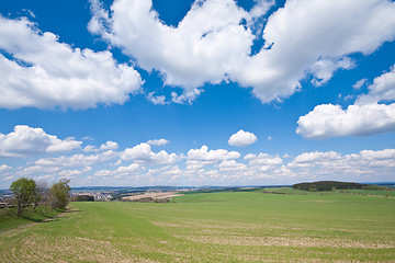 Image showing green field