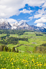 Image showing alpine landscape