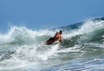 Image showing Surfer on Wave