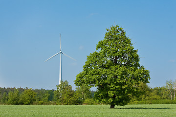 Image showing windmill  farm