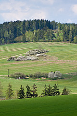 Image showing green field