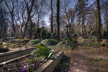 Image showing old graveyard in Prag