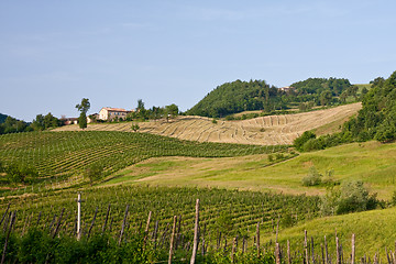 Image showing Typical Tuscan landscape