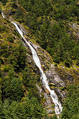 Image showing Himalaya Landscape: waterfall and forest trees