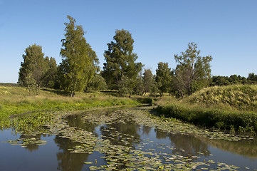 Image showing Riverbank of still river in summer time