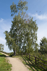 Image showing Footpath along the wooden fence