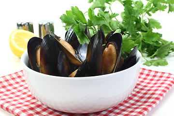 Image showing Mussels