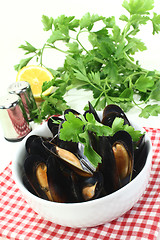 Image showing Mussels